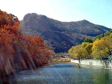 澳门二四六天天彩图库，地下室的秘密